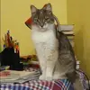 Отзыв от Катя Звягинцева